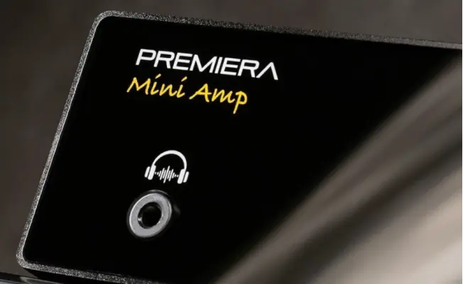 Тест стримингового усилителя Premiera Mini Amp