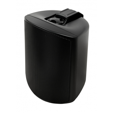 SVS Audiotechnik WSP-6B Pro Всепогодная трансляционная акустическая система