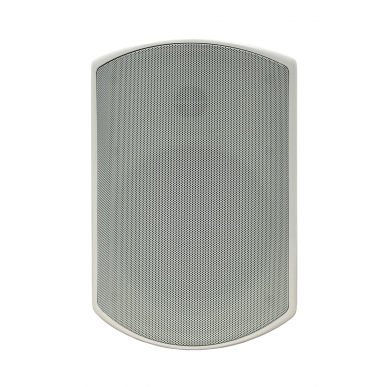 SVS Audiotechnik WSP-6W Pro Всепогодная трансляционная акустическая система