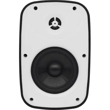SVS Audiotechnik PAF-5W PRO Всепогодная трансляционная акустическая система